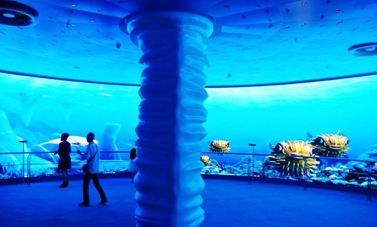 水母迷宫,深海花园.jpg